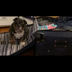 Meet your Posher, Jesse